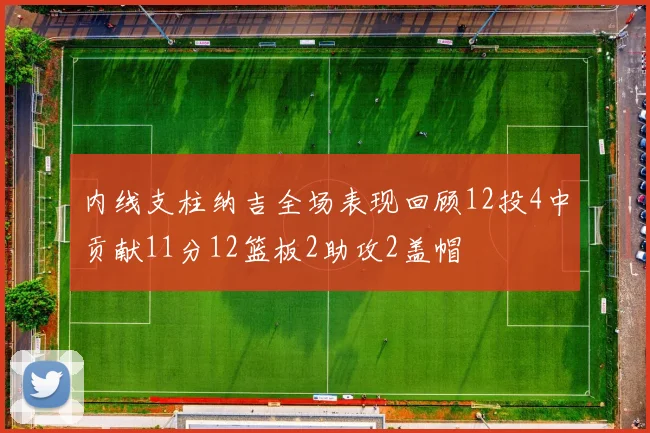 内线支柱纳吉全场表现回顾12投4中贡献11分12篮板2助攻2盖帽